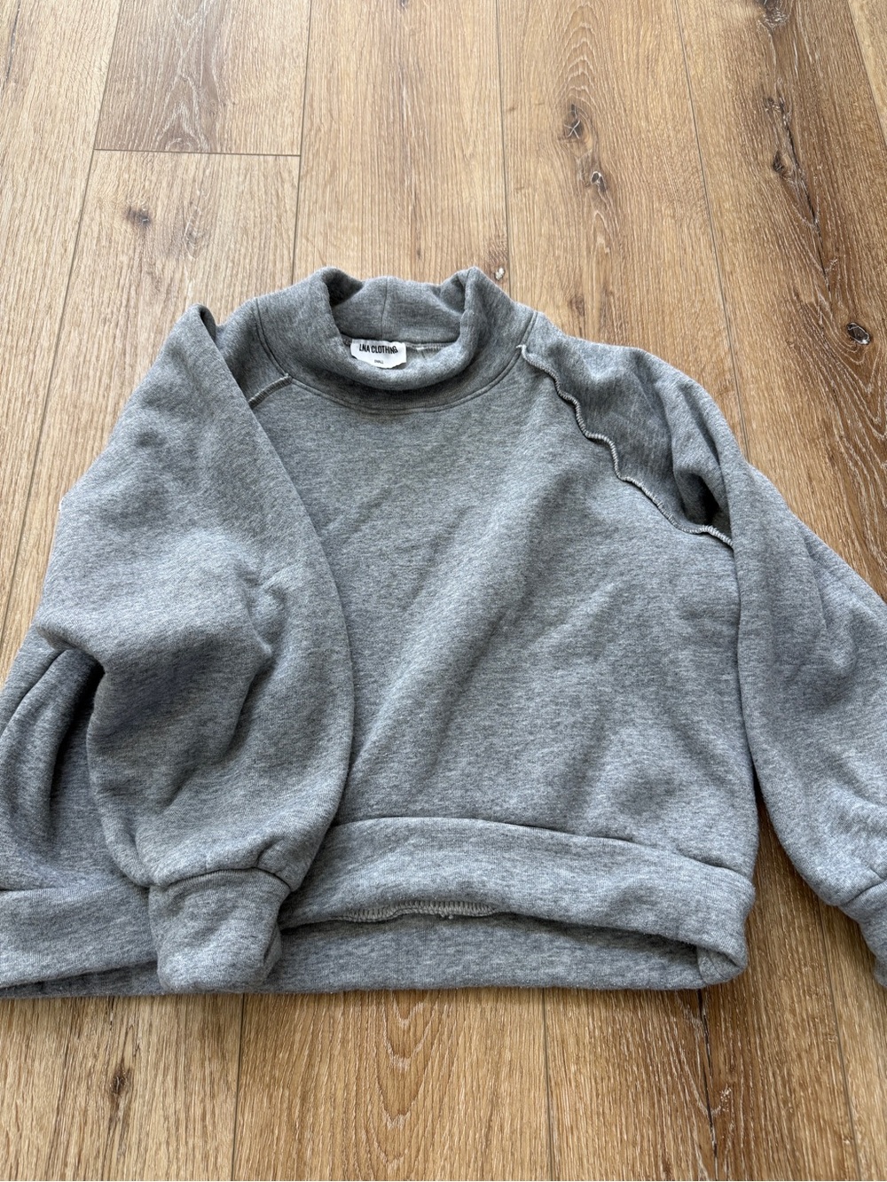 Evereve LNA Gray Mock Neck Sweatshirt